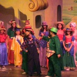 Wizared of OZ